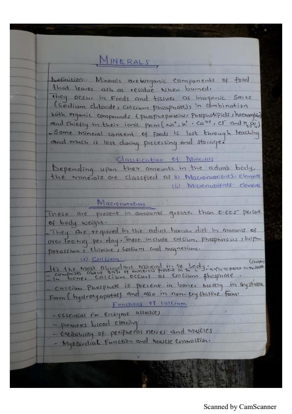 Page 1 – Food Chemistry Notes on Minerals – Kenyaplex