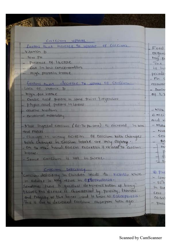 Page 2 – Food Chemistry Notes on Minerals – Kenyaplex