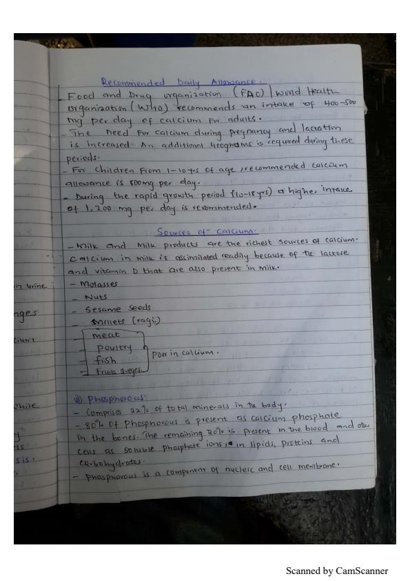 Page 3 – Food Chemistry Notes on Minerals – Kenyaplex