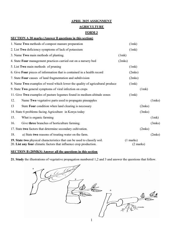 Page 1 – Form 3 Agriculture April 2025 Holiday Assignment – Kenyaplex