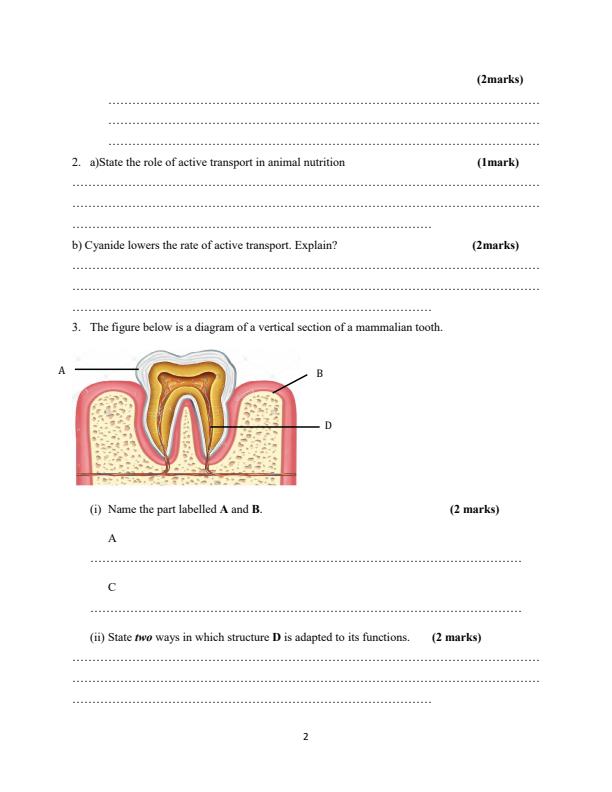Page 2 – Form 3 Biology Paper 1 April 2026 Holiday Assignment – Kenyaplex