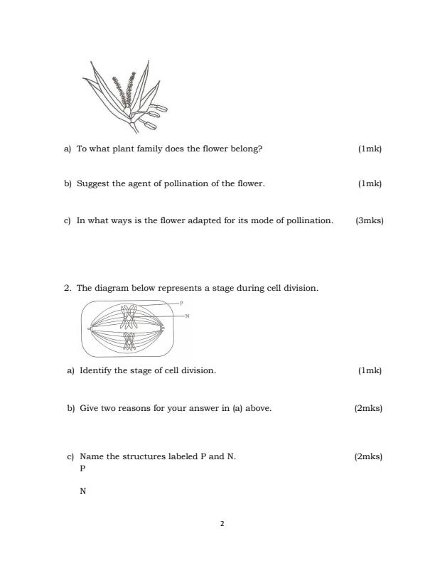 Page 2 – Form 4 Biology August 2026 Holiday Assignment – Kenyaplex