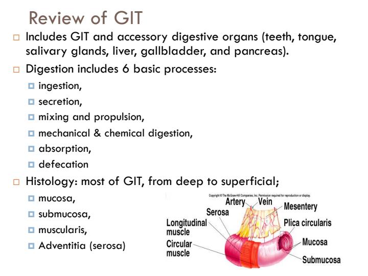 Page 3 – Gastrointestinal and Biliary Tract Disorders Notes – Kenyaplex