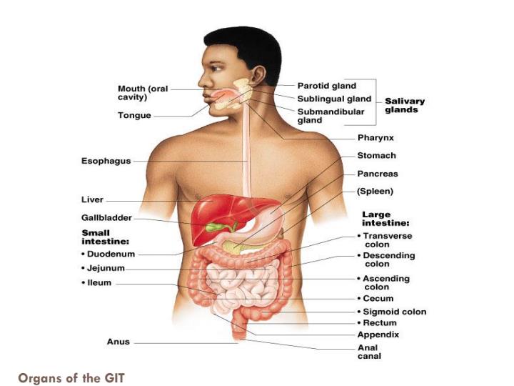 Gastrointestinal-and-Biliary-Tract-Disorders-Notes_13029_4.jpg