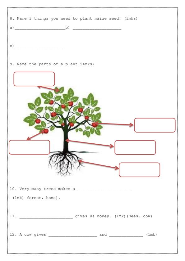 Page 3 – Grade 1 November/December 2025 Holiday Assignments - Set – Kenyaplex