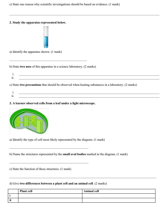 Page 2 – Grade 10 General Science December 2026 Holiday Assignment – Kenyaplex