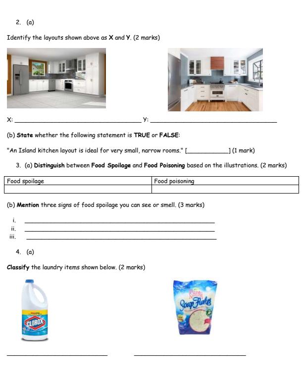 Page 2 – Grade 10 HomeScience August 2026 Holiday Assignment – Kenyaplex