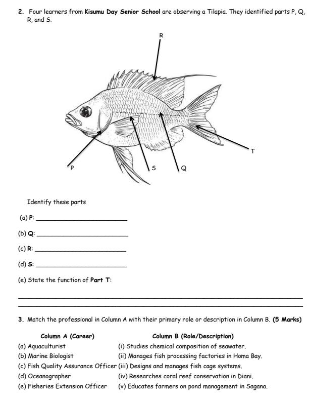 Page 2 – Grade 10 Marine Technology August 2026 Holiday Assignment – Kenyaplex