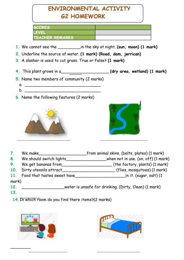 Page 1 – Grade 2 Environmental Activities December 2024 Holiday Assignment – Kenyaplex