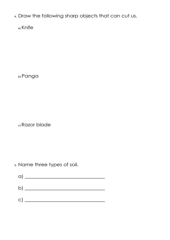 Page 2 – Grade 2 Environmental Activities December 2026 Holiday Assignment – Kenyaplex