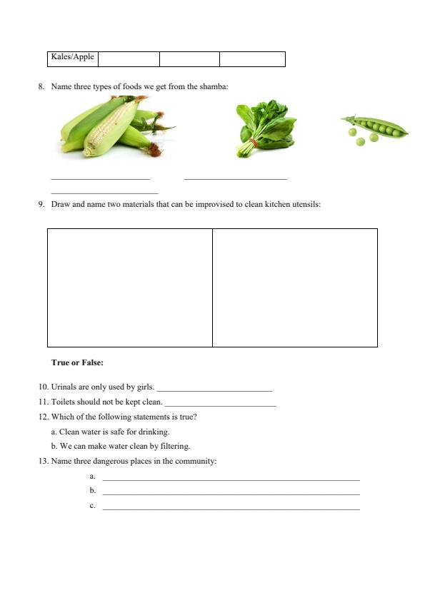 Page 2 – Grade 3 Environmental Activities April 2026 Holiday Assignment – Kenyaplex