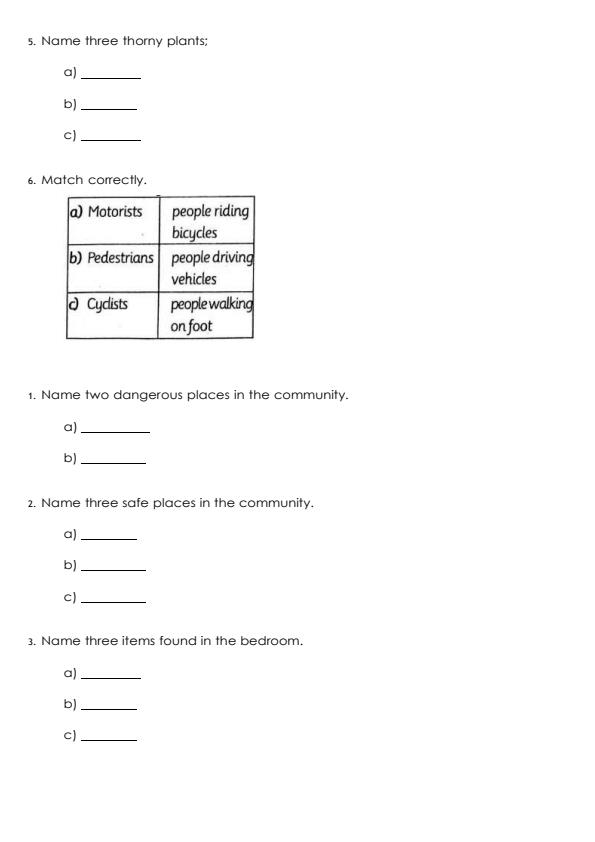 Page 2 – Grade 3 Environmental Activities August 2026 Holiday Assignment – Kenyaplex