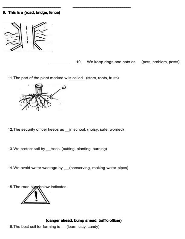 Page 2 – Grade 3 Environmental Activities December 2026 Holiday Assignment – Kenyaplex