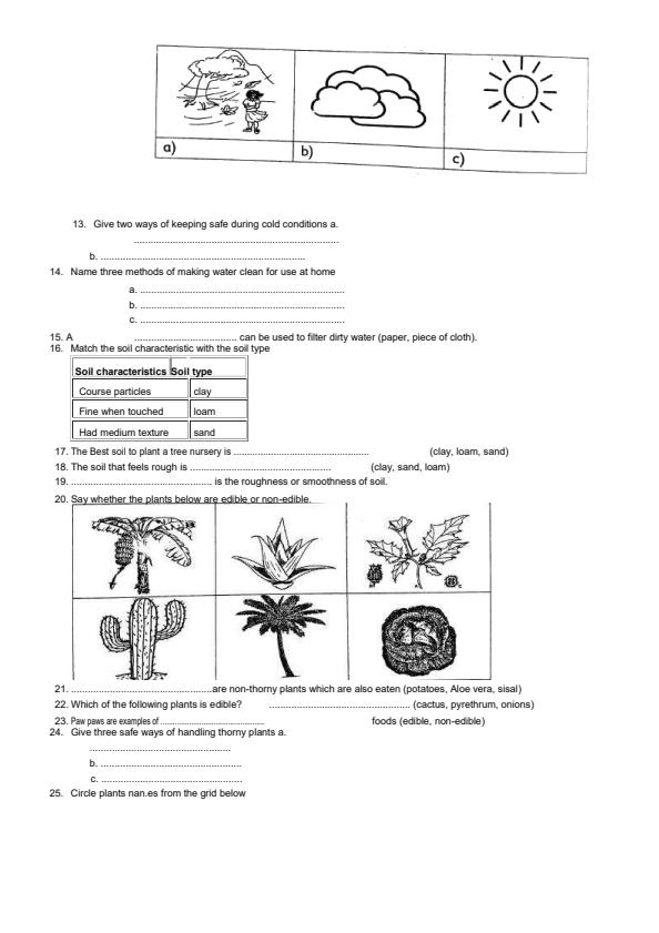 Page 2 – Grade 3 Environmental Activities Topical Questions and Answers – Kenyaplex
