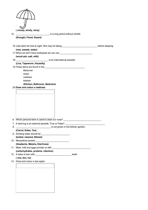 Page 2 – Grade 3 Integrated Activities August 2024 Holiday Assignment – Kenyaplex