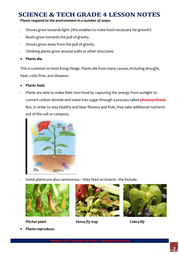 Page 2 – Grade 4 Rationalized Science and Technology Complete Notes Term 1,  Term 2 and Term 3 – Kenyaplex