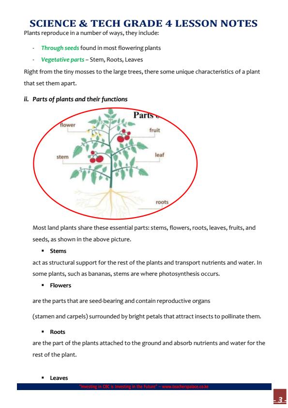 Page 3 – Grade 4 Rationalized Science and Technology Complete Notes Term 1,  Term 2 and Term 3 – Kenyaplex