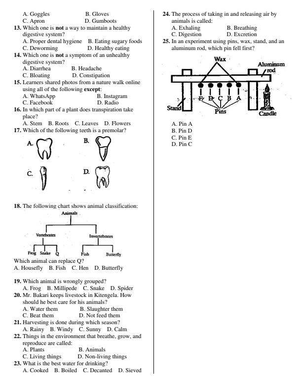 Page 2 – Grade 4 Science and Technology Activities April 2026 Holiday Assignment – Kenyaplex