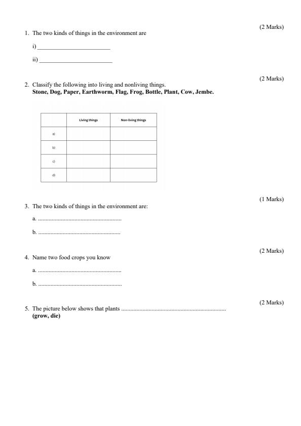 Page 2 – Grade 4 Science and Technology August 2024 Holiday Assignment – Kenyaplex