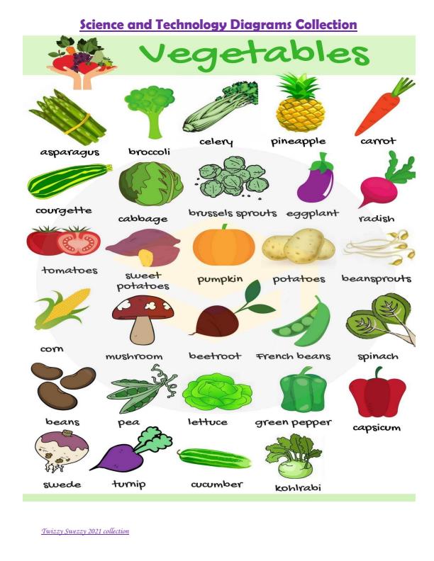 Page 1 – Grade 4 and 5 Science and Technology Diagrams – Kenyaplex