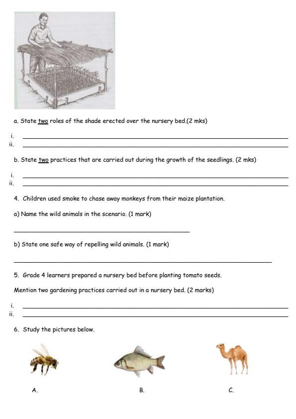 Page 2 – Grade 5 Agriculture August 2026 Holiday Assignment  – Kenyaplex