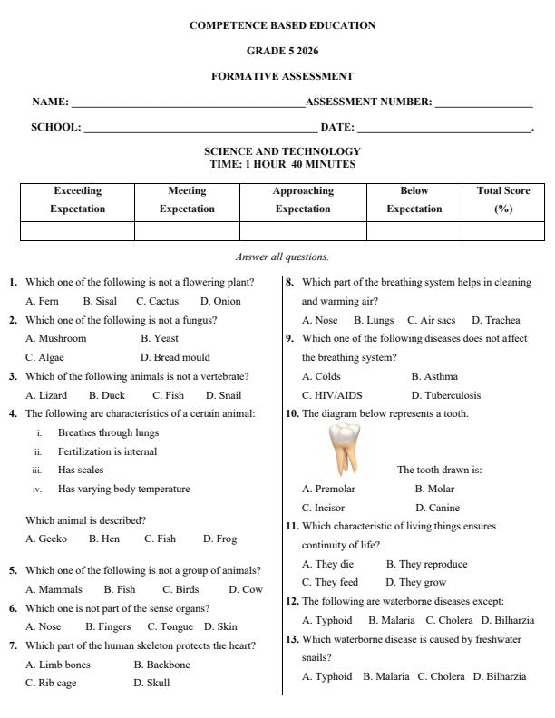 Page 1 – Grade 5 Science and Technology April 2026 Holiday Assignment – Kenyaplex