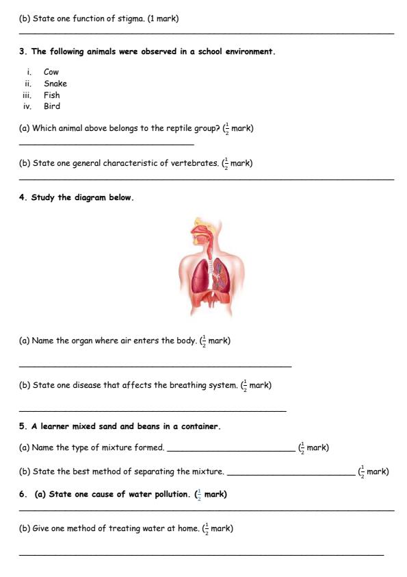 Page 2 – Grade 5 Science and Technology August 2026 Holiday Assignment – Kenyaplex