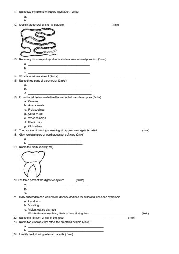 Page 2 – Grade 5 Science and Technology December 2024 Holiday Assignment – Kenyaplex