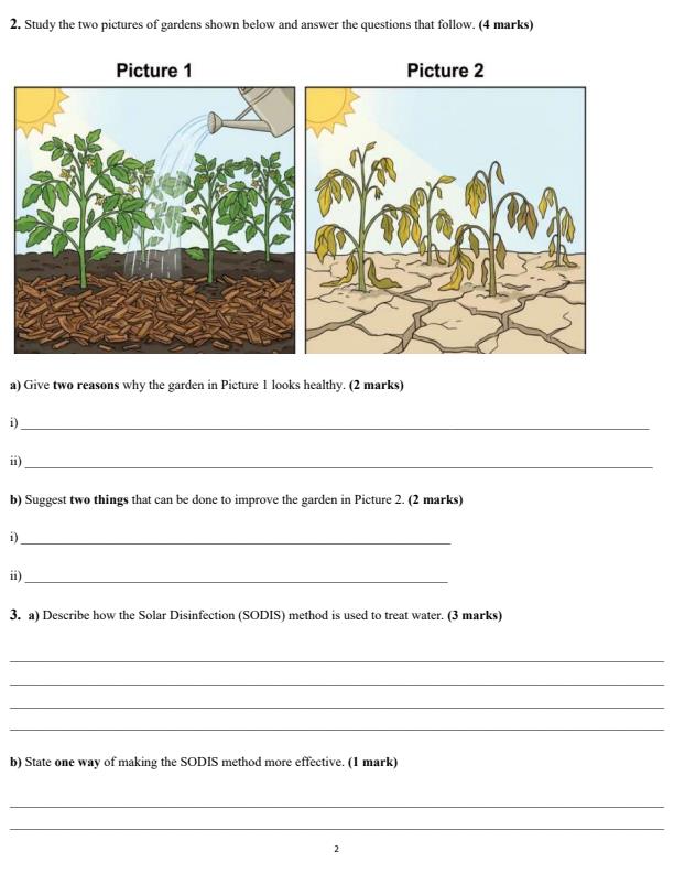 Page 2 – Grade 5 Science and Technology December 2026 Holiday Assignment  – Kenyaplex
