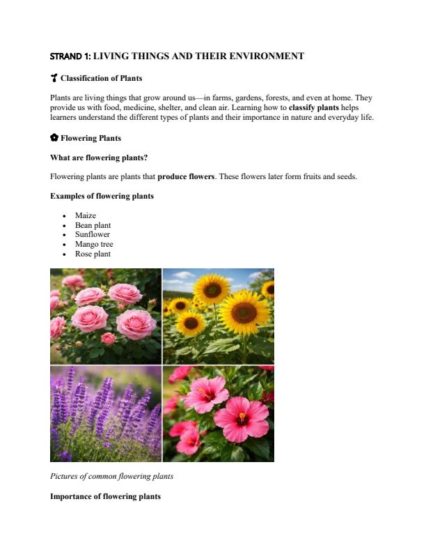 Page 2 – Grade 5 Science and Technology Notes Term 1 – Kenyaplex