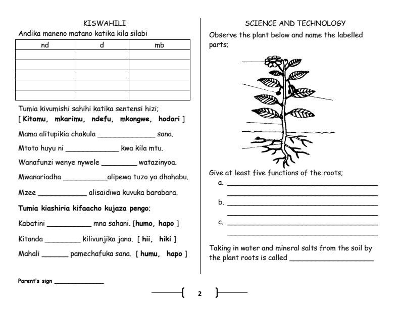 Page 2 – Grade 6 April 2024 Holiday Assignments – Kenyaplex