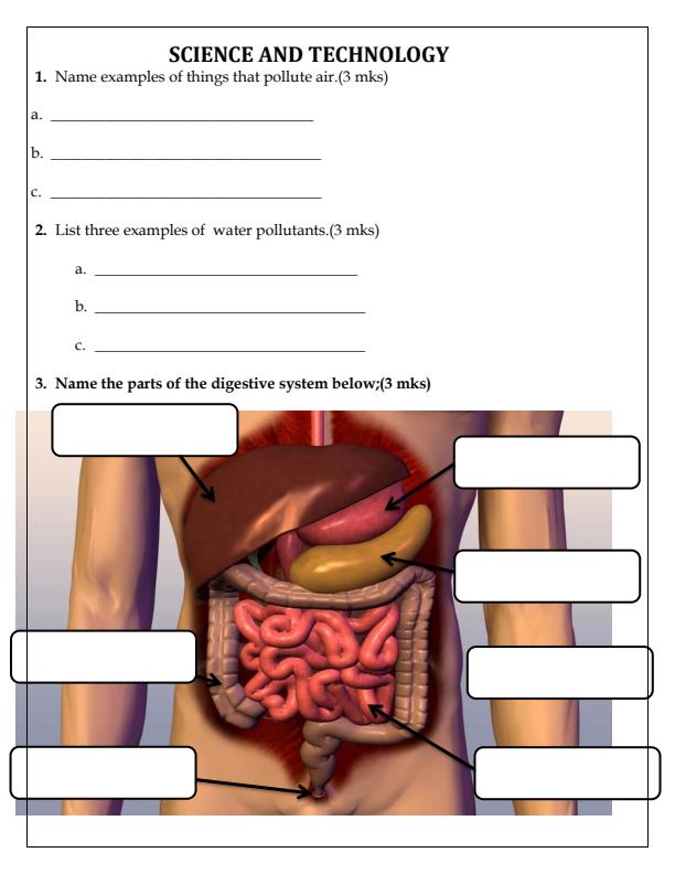 Page 2 – Grade 6 April 2025 Holiday Assignments - Set – Kenyaplex
