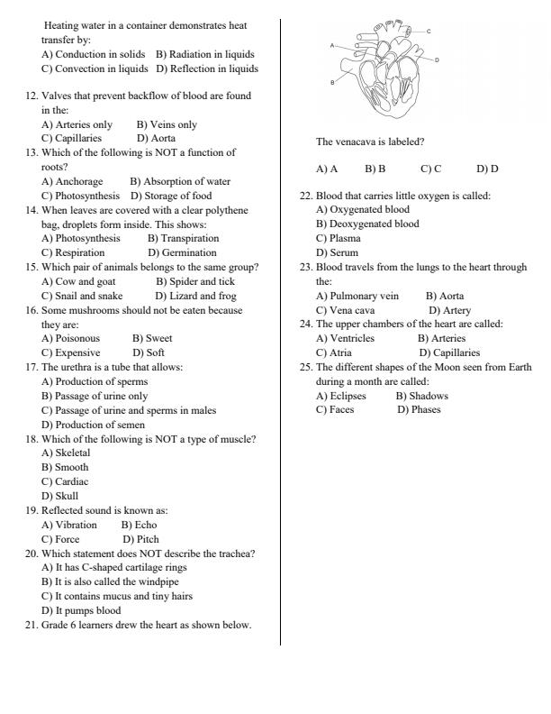 Page 2 – Grade 6 Science and Technology April 2026 Holiday Assignment – Kenyaplex