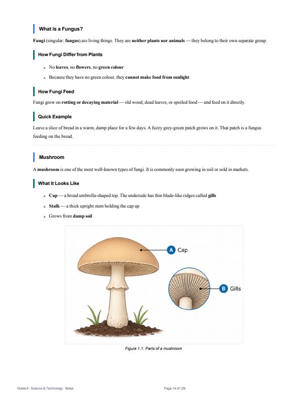 Page 3 – Grade 6 Science and Technology Notes Term 1, Term 2, Term 3 (Updated) – Kenyaplex