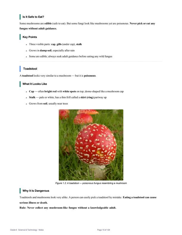 Page 4 – Grade 6 Science and Technology Notes Term 1, Term 2, Term 3 (Updated) – Kenyaplex
