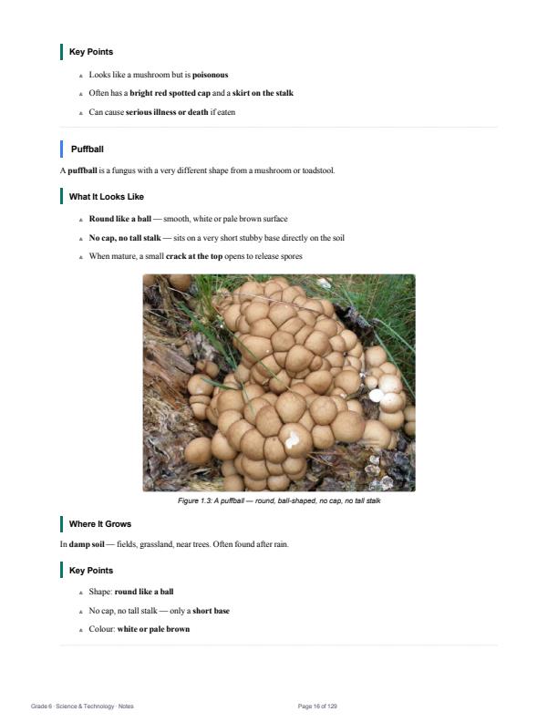 Page 5 – Grade 6 Science and Technology Notes Term 1, Term 2, Term 3 (Updated) – Kenyaplex