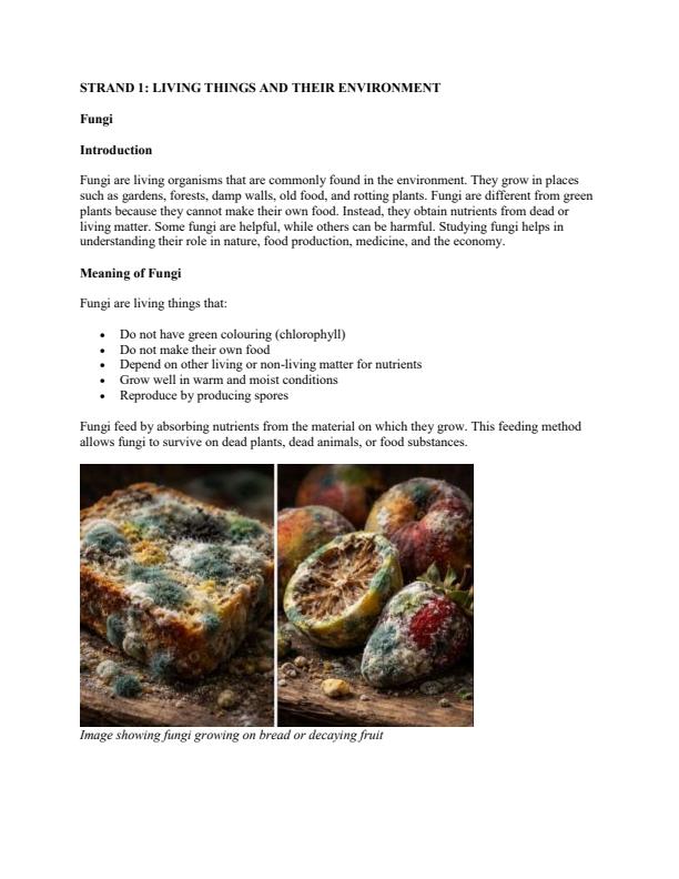 Page 2 – Grade 6 Science and Technology Notes Term 1 – Kenyaplex