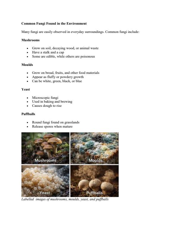 Page 3 – Grade 6 Science and Technology Notes Term 1 – Kenyaplex