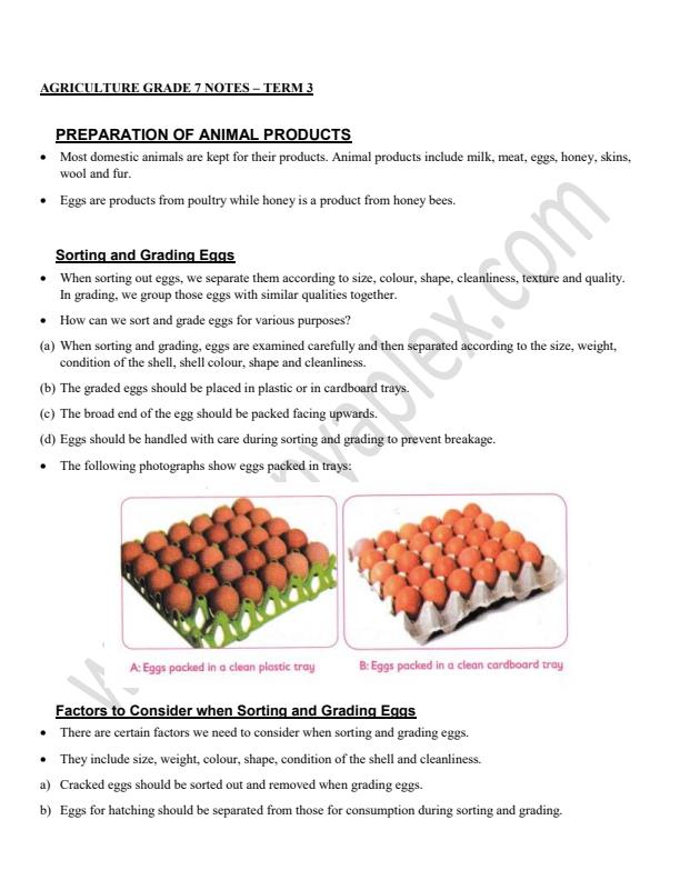 Grade-7-Agriculture-Notes-Term-3_14650_0.jpg