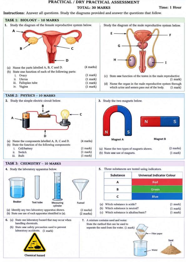 Page 2 – Grade 7 Integrated Science Practical December 2026 Holiday Assignment – Kenyaplex