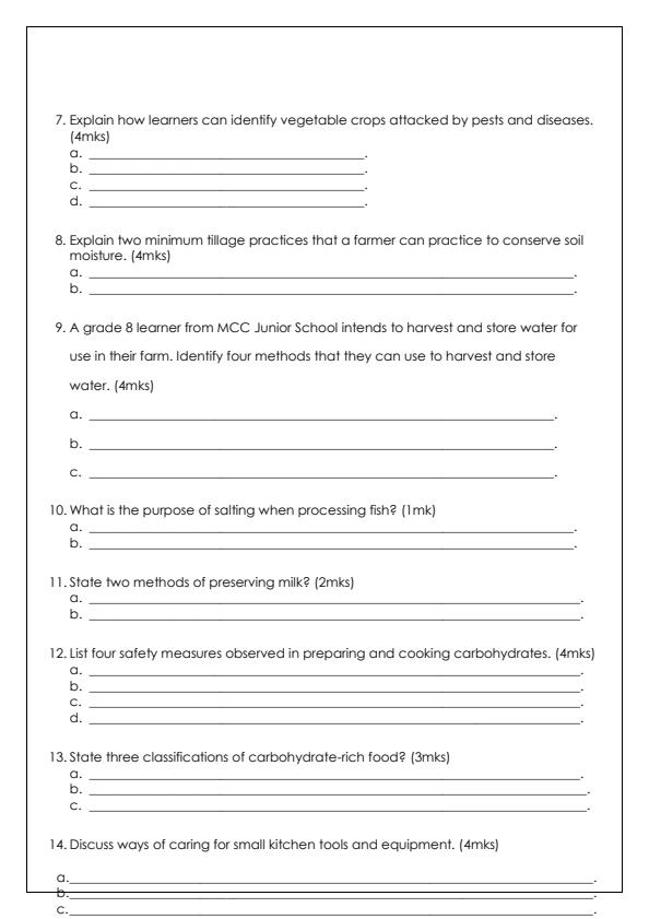 Page 3 – Grade 8 April 2025 Holiday Assignments - Set – Kenyaplex