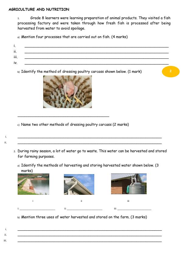 Page 2 – Grade 8 August 2026 Holiday Assignment - Full Set – Kenyaplex
