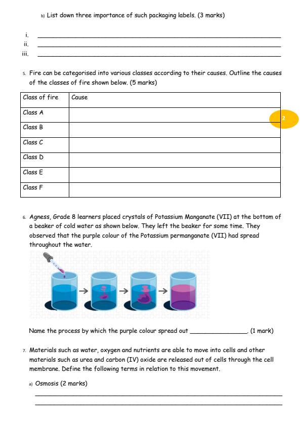 Page 2 – Grade 8 Integrated Science August 2026 Holiday Assignment – Kenyaplex
