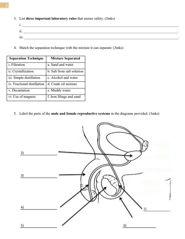 Page 2 – Grade 8 Integrated Science Practical April 2026 Holiday Assignment – Kenyaplex