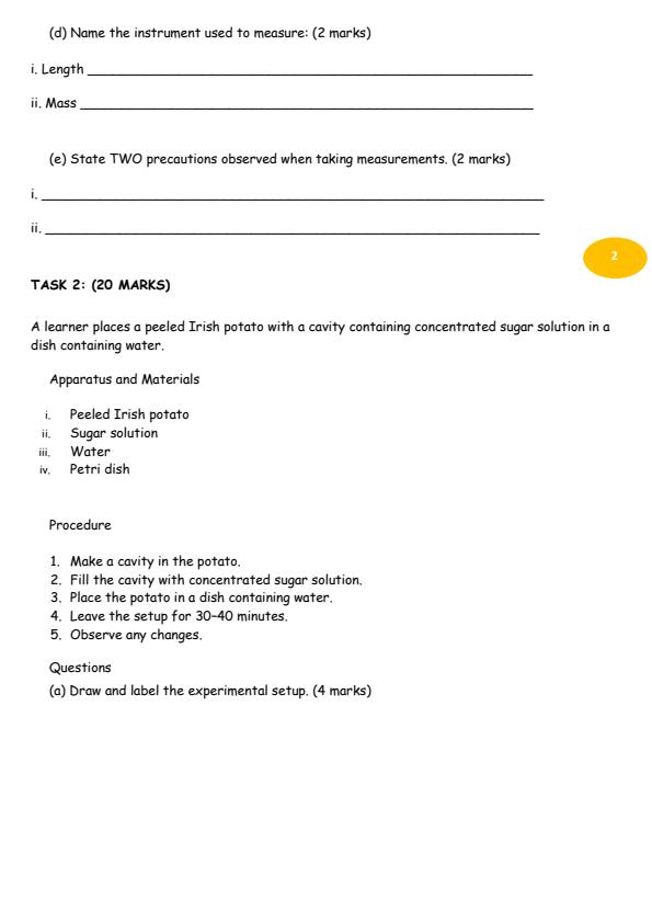 Page 2 – Grade 8 Integrated Science Practical August 2026 Holiday Assignment – Kenyaplex