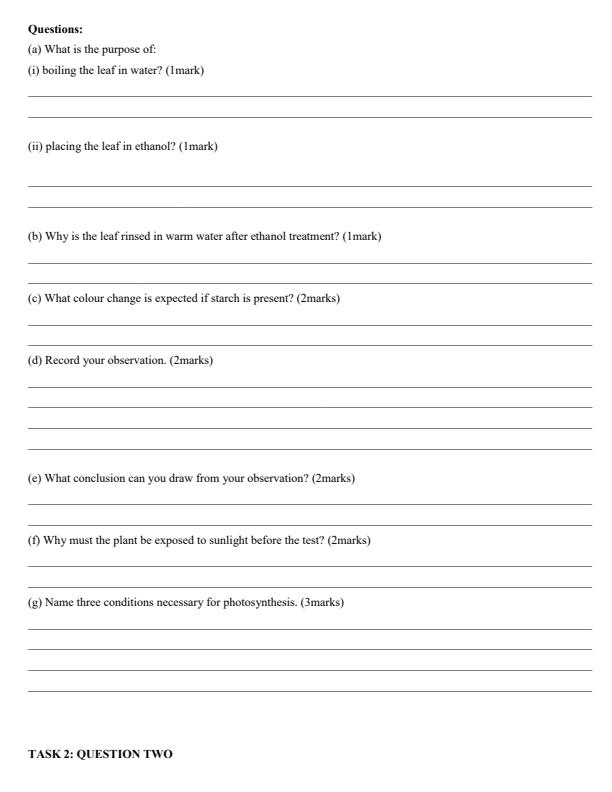 Page 2 – Grade 9 Integrated Science Paper 2 April 2026 Holiday Assignment – Kenyaplex
