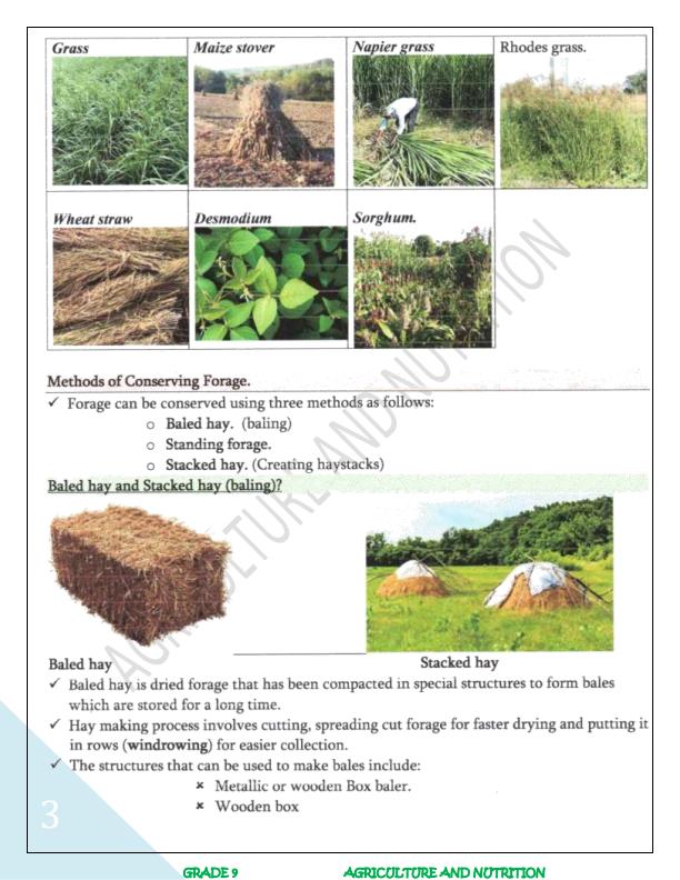Page 2 – Grade 9 Rationalized Agriculture and Nutrition Notes Term 1 – Kenyaplex