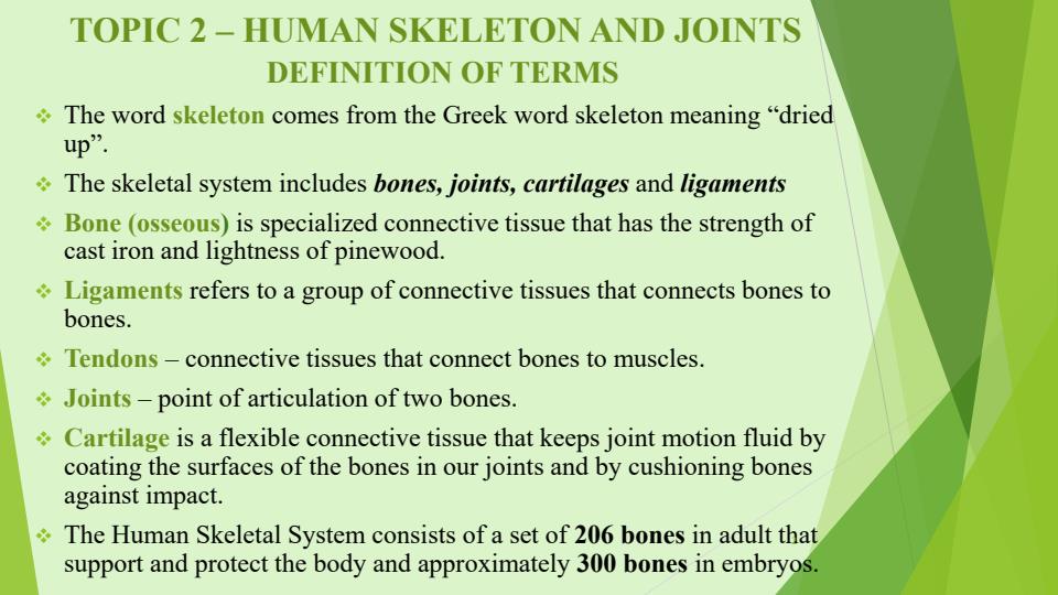 Page 2 – Human Anatomy and Physiology 1 Notes on Human Skeleton and Joints – Kenyaplex