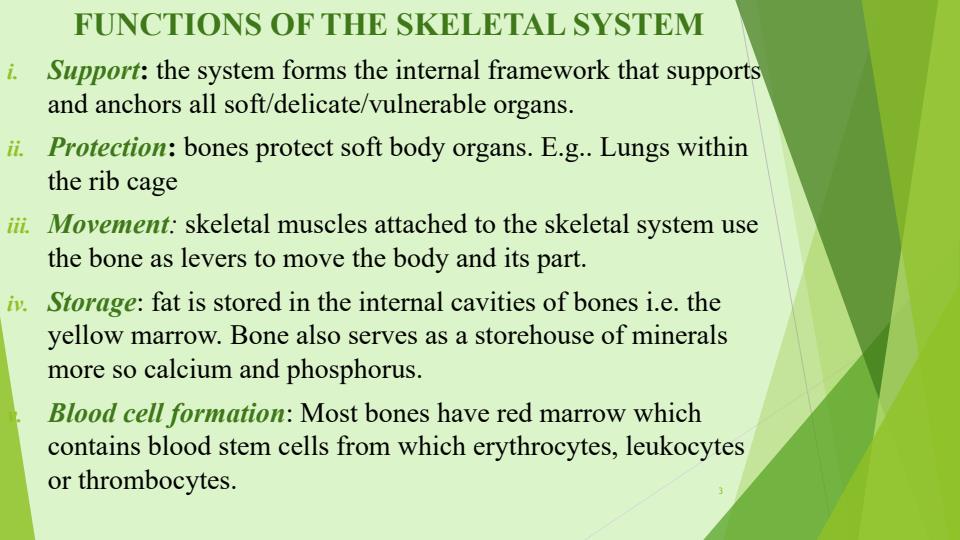 Page 3 – Human Anatomy and Physiology 1 Notes on Human Skeleton and Joints – Kenyaplex