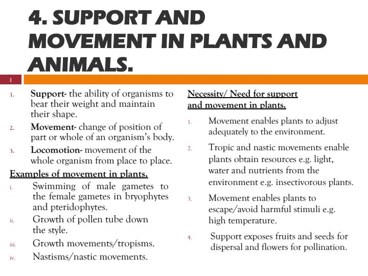 KCSE Comprehensive Biology Notes Support and Movement in Plants and
